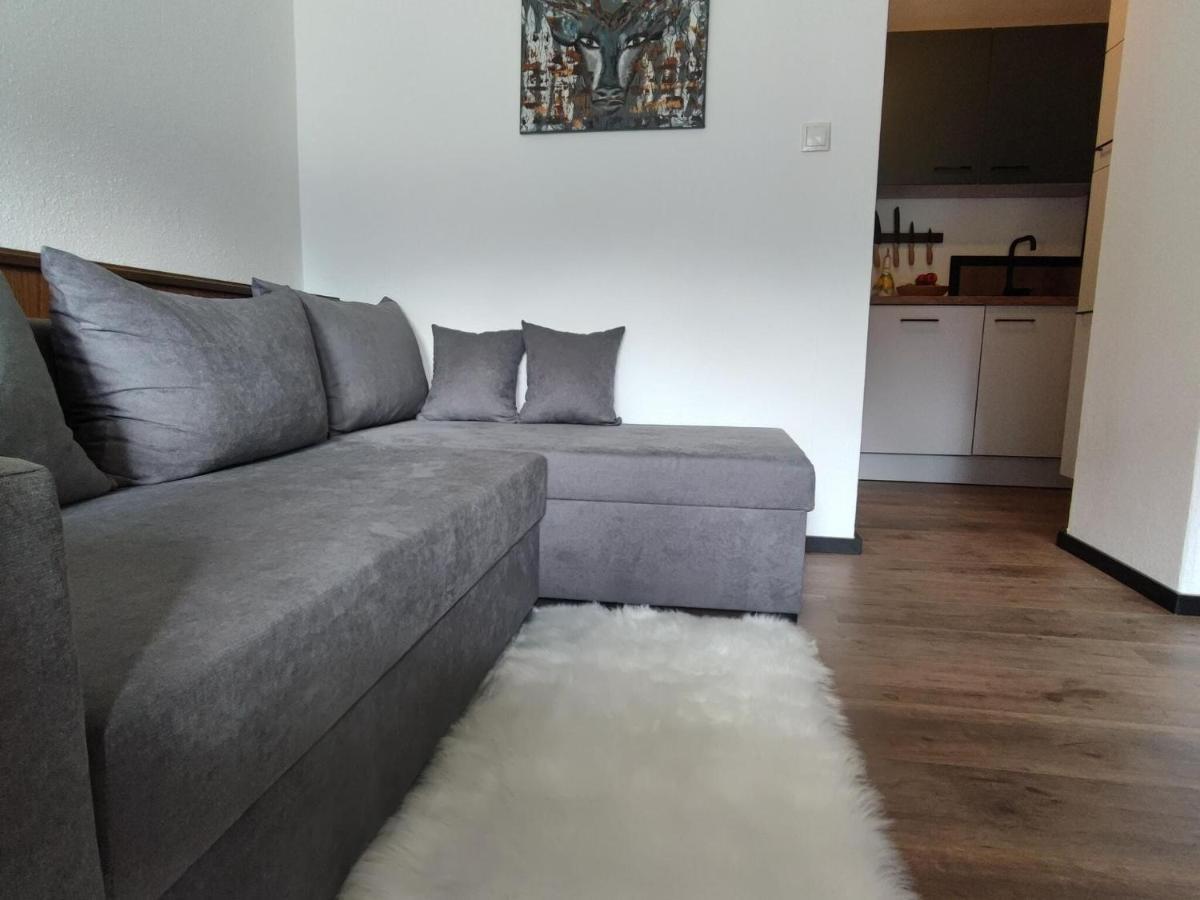 Great Apartment Near The Ski Area Hippach Exterior foto